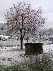 Winter cold pozzo