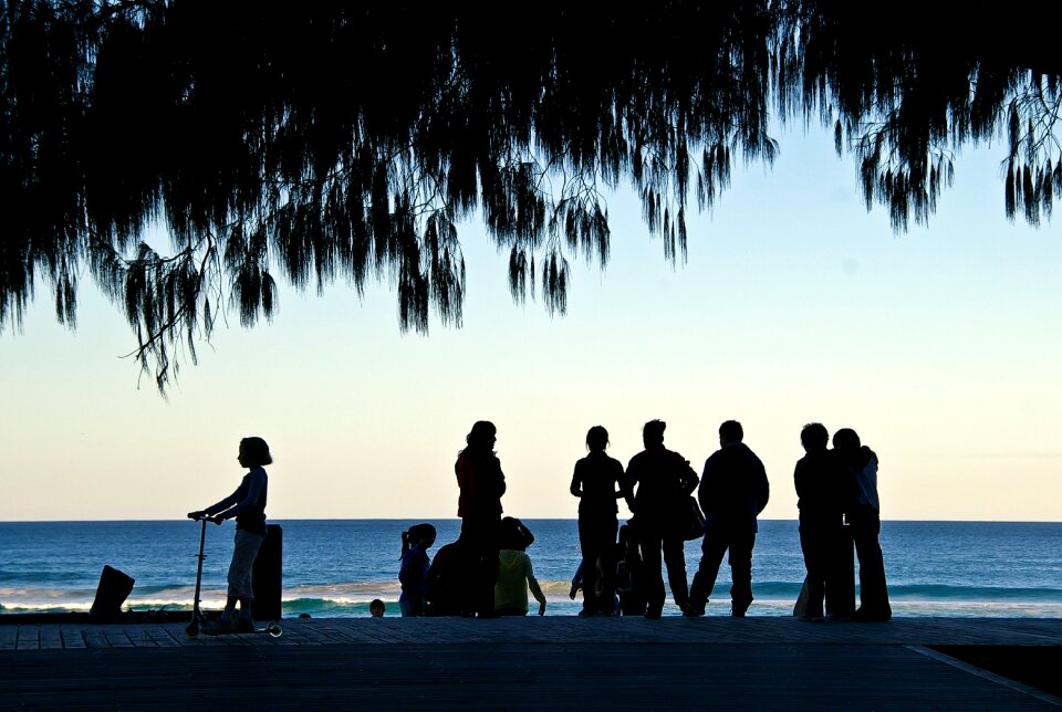 Sea ocean tree