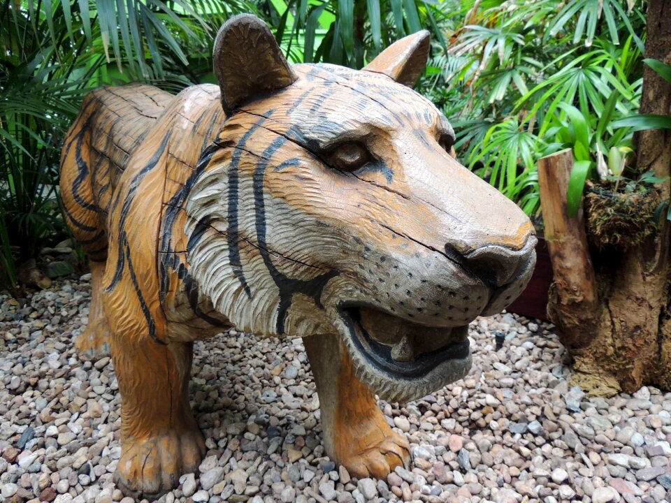 Trees animal big cat
