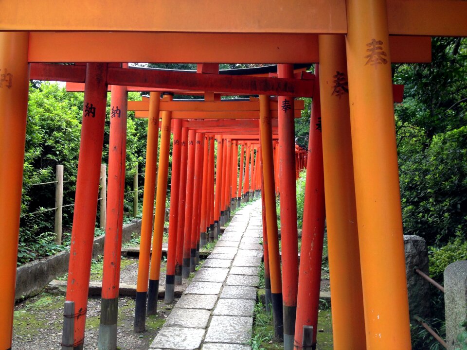 Shrine torii nezu shrine