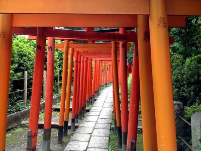 Shrine torii nezu shrine