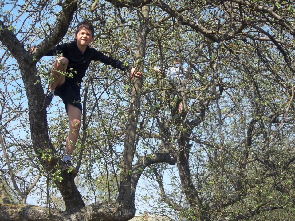 Fun climb tree