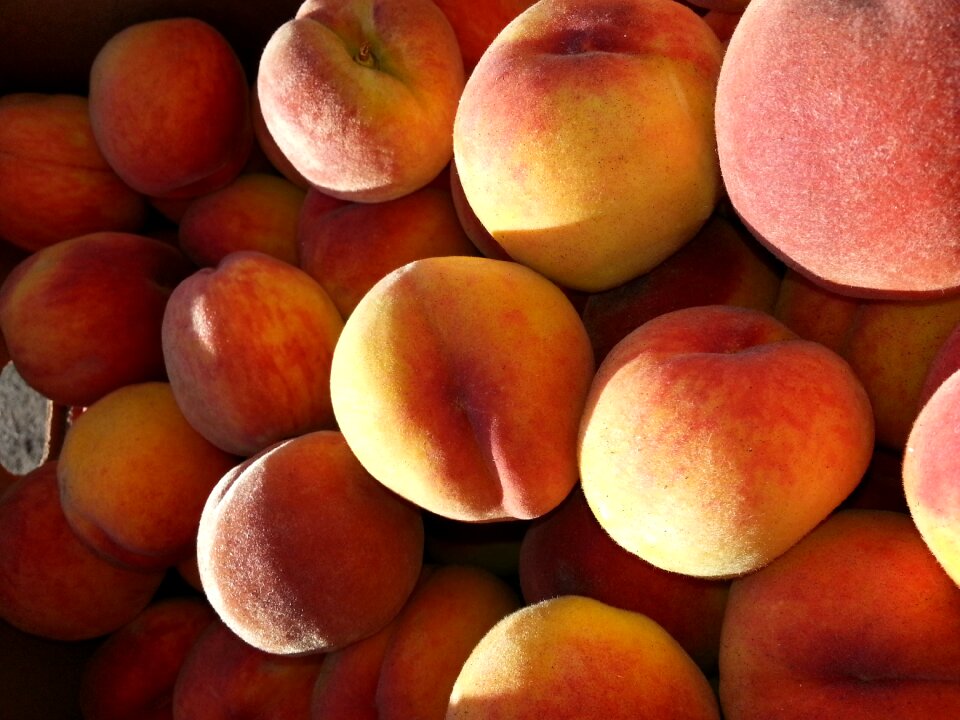 Ripe nature harvest