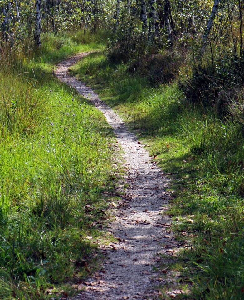 Path promenade trail