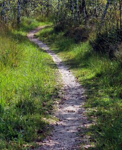 Path promenade trail photo