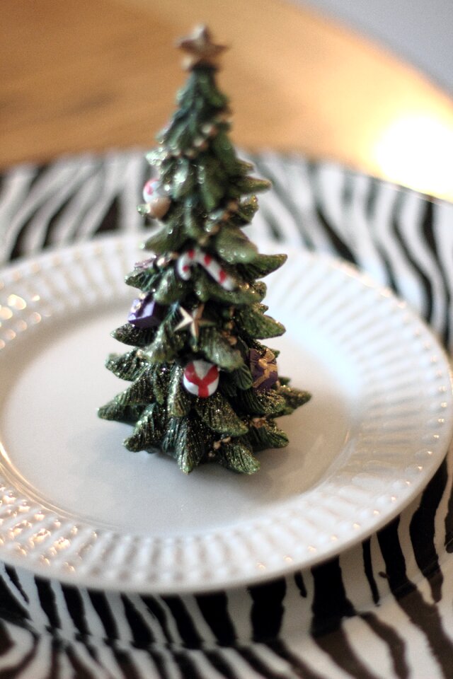 Decoration xmas holiday