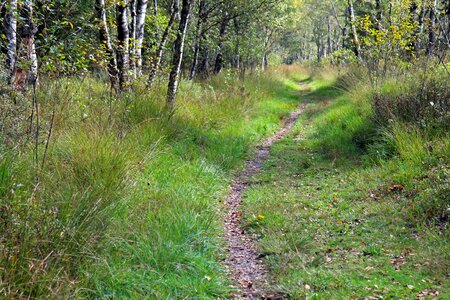 Path promenade trail