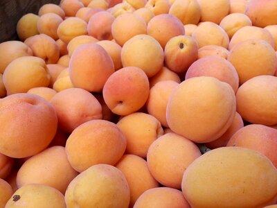 Healthy juicy food