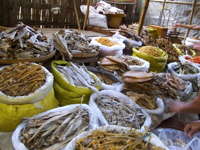 Fish dry fish market
