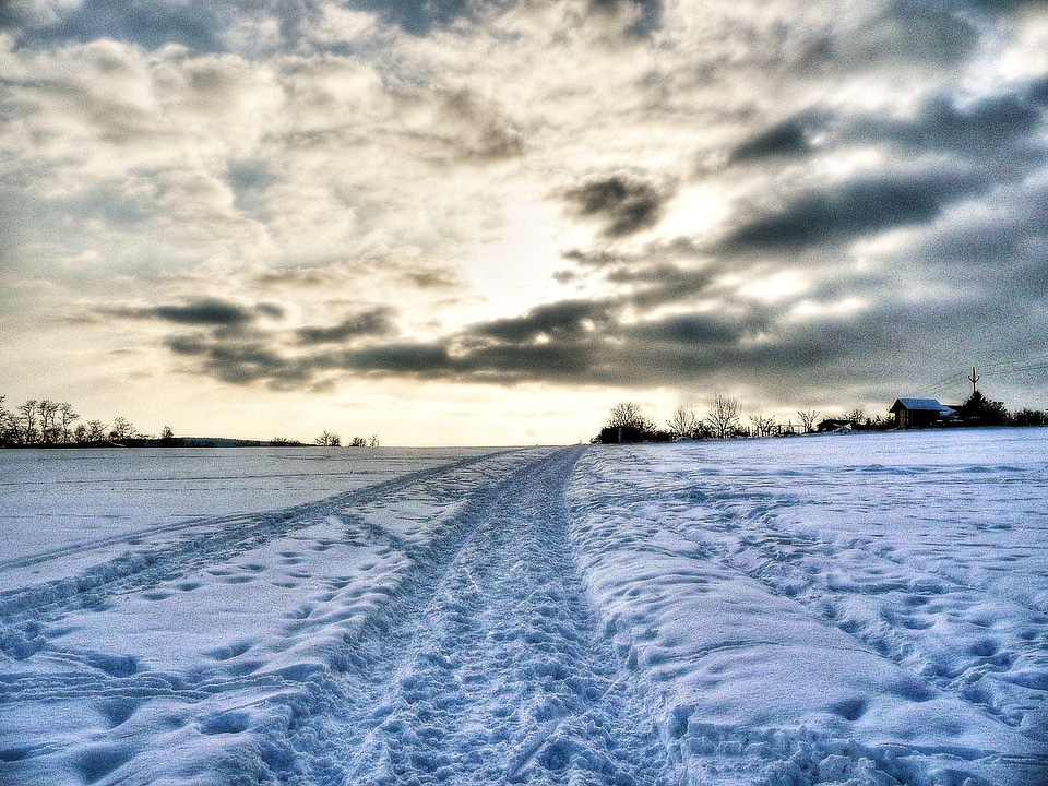 Winter season nature