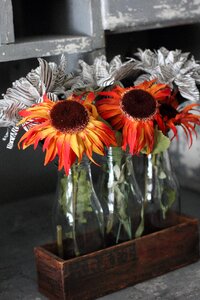 Orange autumn floral