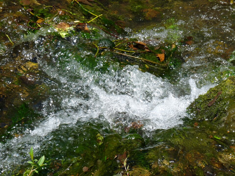 Landscape beautiful spring