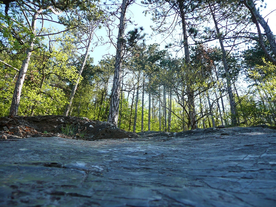 Scenery nature landscape