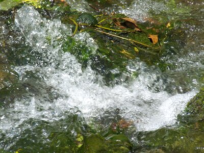 Sea lake freshwater
