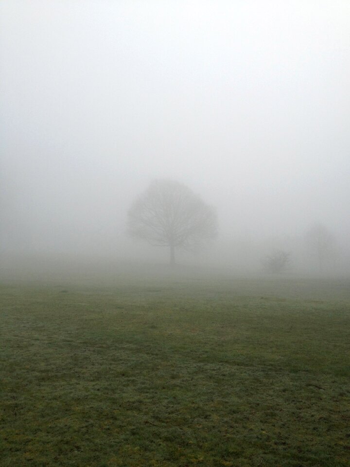 Countryside country field