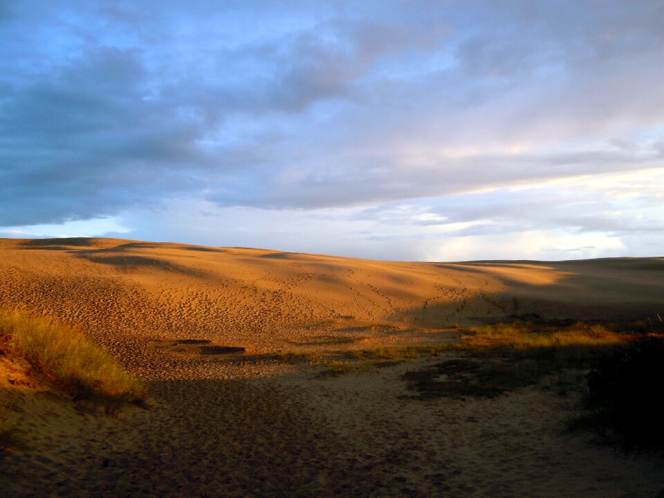 Desert evening light sunset