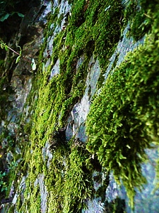 Green stone natural photo