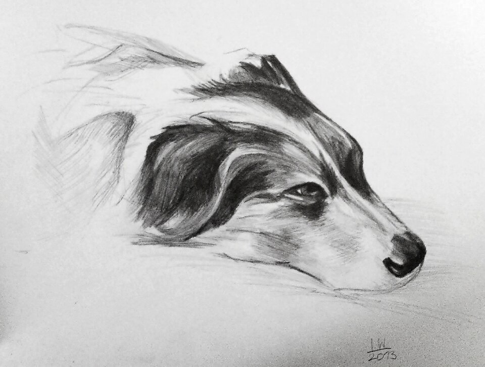 Figure doggy thoroughbred