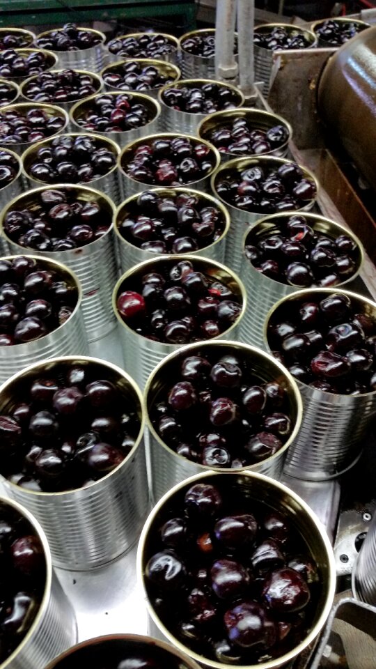 Canning processing process