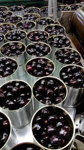 Canning processing process