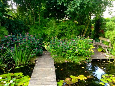 Garden green dust
