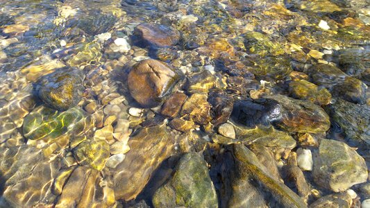 River stones nature photo