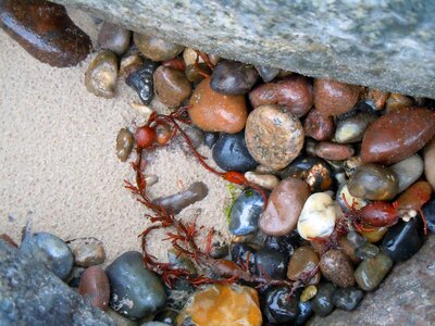 Pebble plump round photo