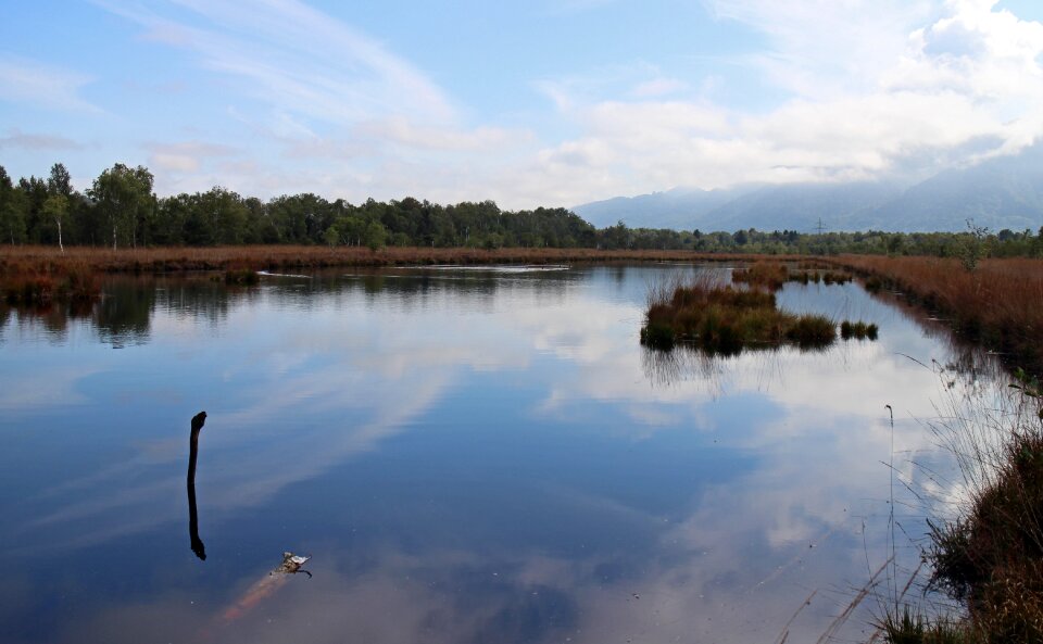 Swamp nature autumn