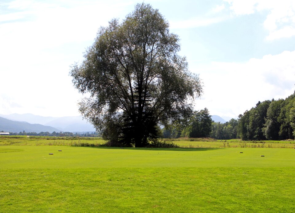 Individually meadow distant view