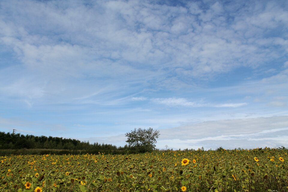 Landscape sky nature