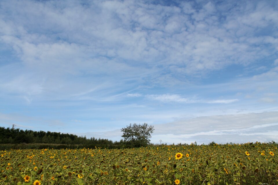 Landscape sky nature photo