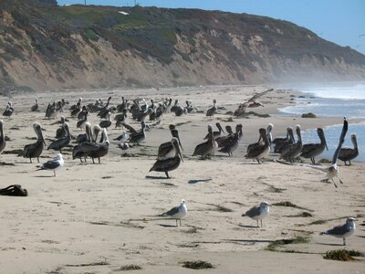 Ocean coast california