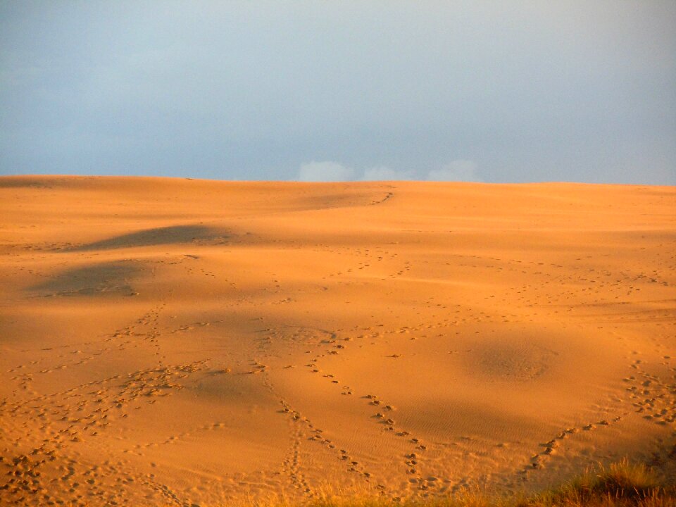 Traces sunset sunlight photo