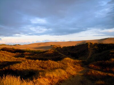 Sand dunes dune landscape evening photo