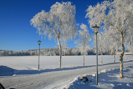 White cold sweden photo
