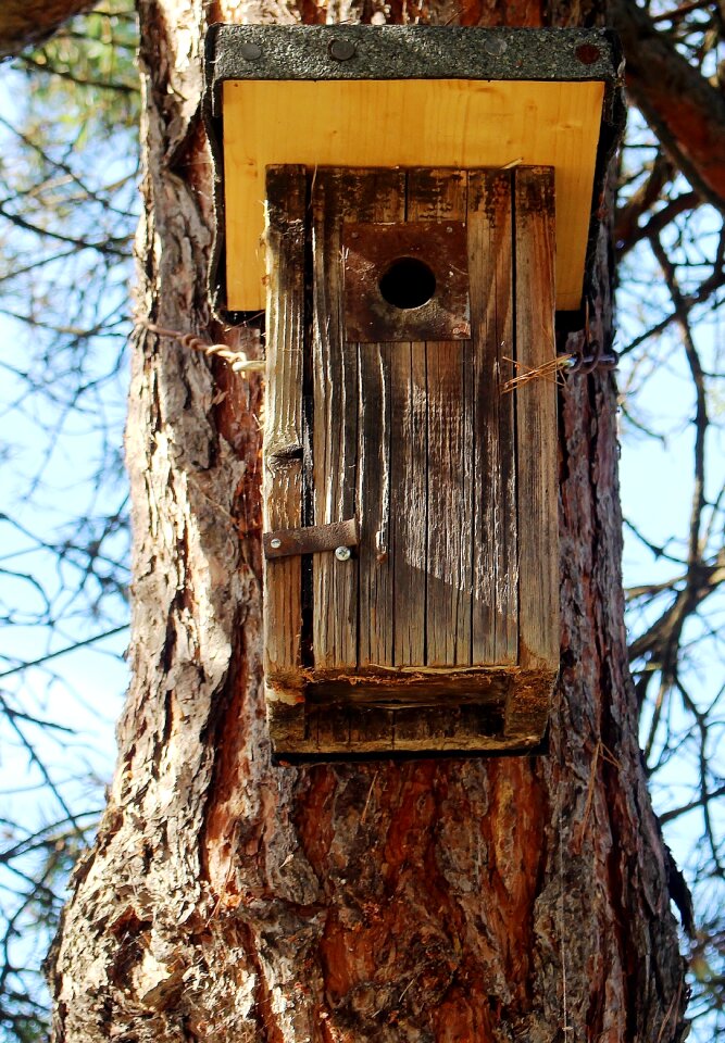 Animal welfare tree log