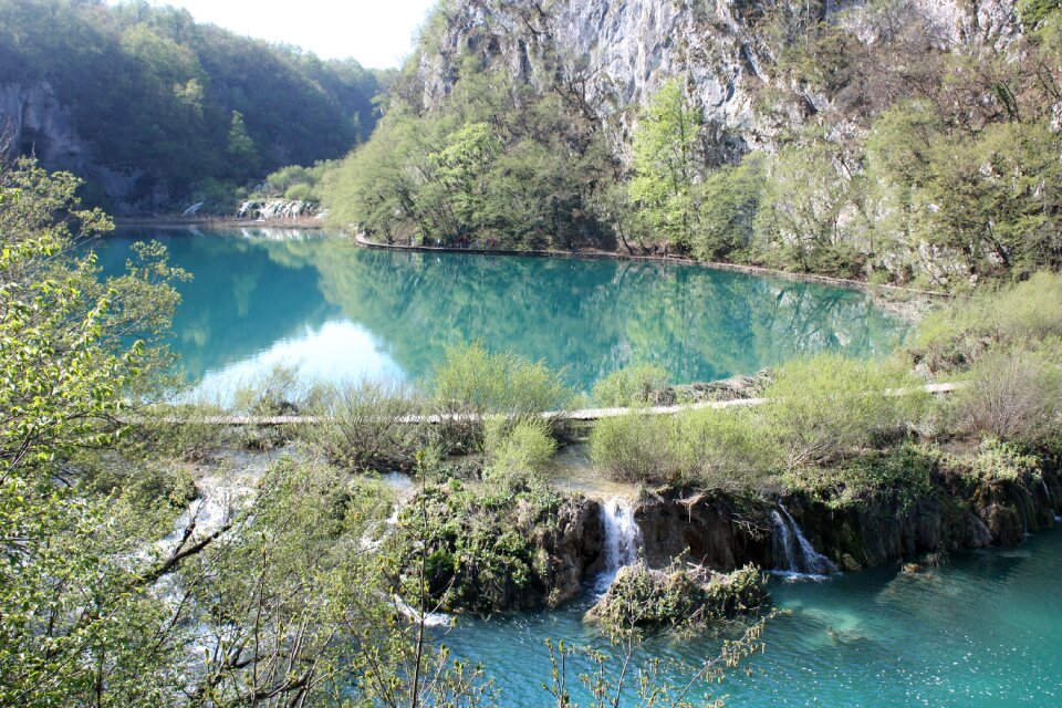 Water nature spring