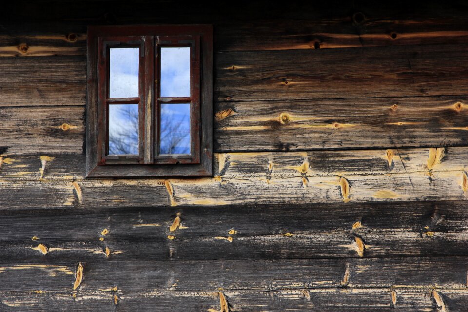 House nature architecture