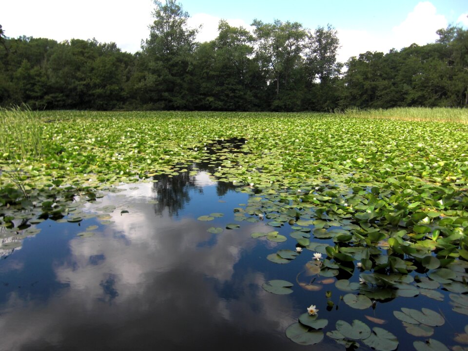 Clouds water nature