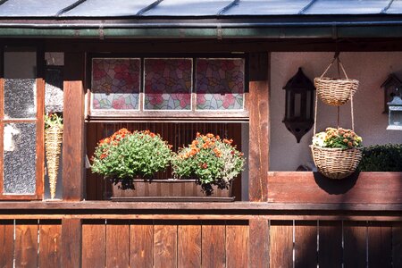 Balcony plant flowers wood paneling