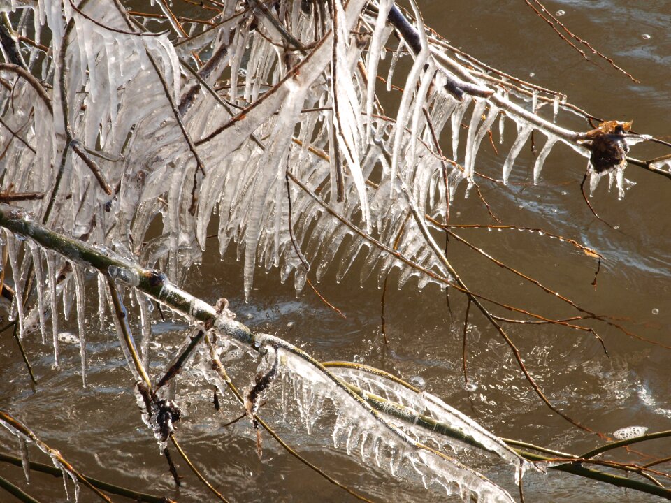 Frozen aesthetic water