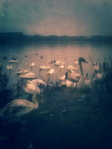 Vintage grunge retro