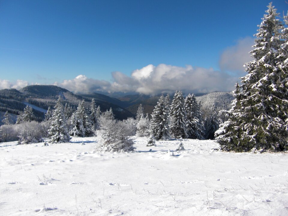 Black forest wintry feldberg