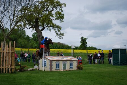 Show jumping race campaign