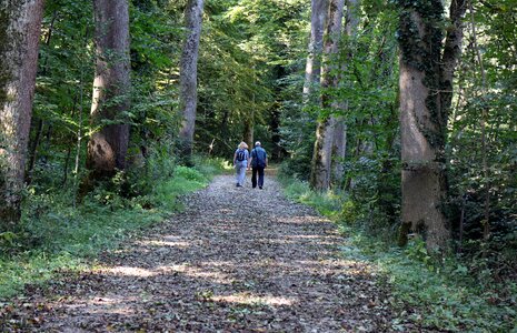 Walk human pair