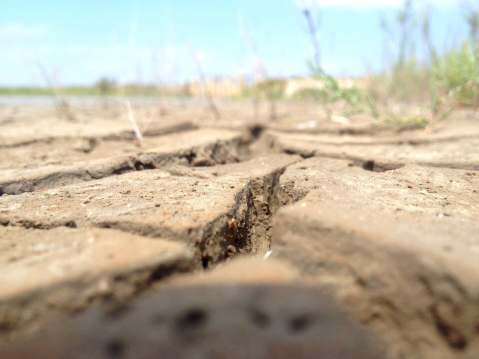 Ground dirt nature photo