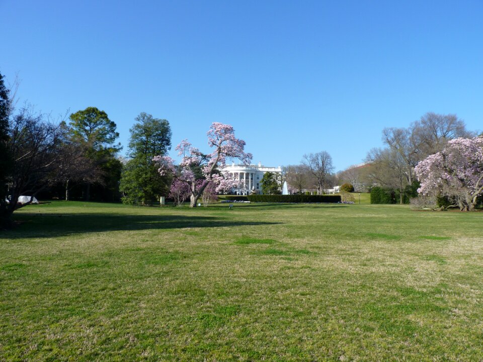 Government united states washington