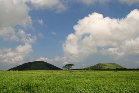 Jeju island ascension meadow photo