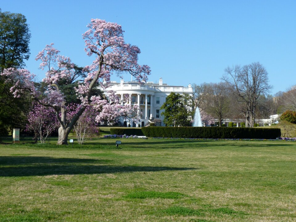 Government united states washington