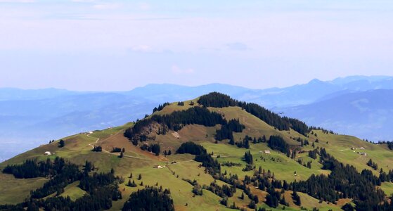 Ebenalp forests green